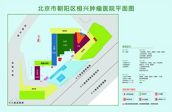 大黑吊操逼北京市朝阳区桓兴肿瘤医院平面图